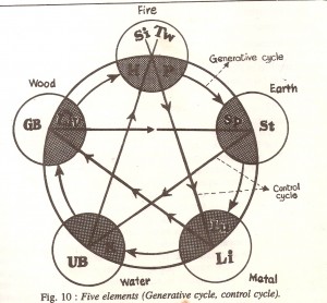 creative destructive cycle